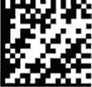 Code DM