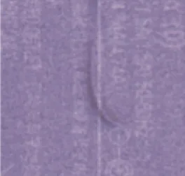 Pli